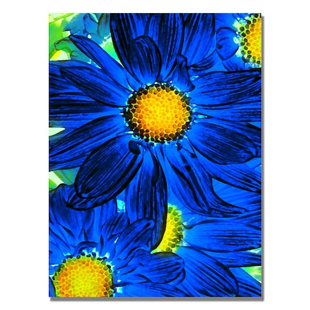 Amy Vangsgard 'Pop Daisies XI' Canvas,35x47